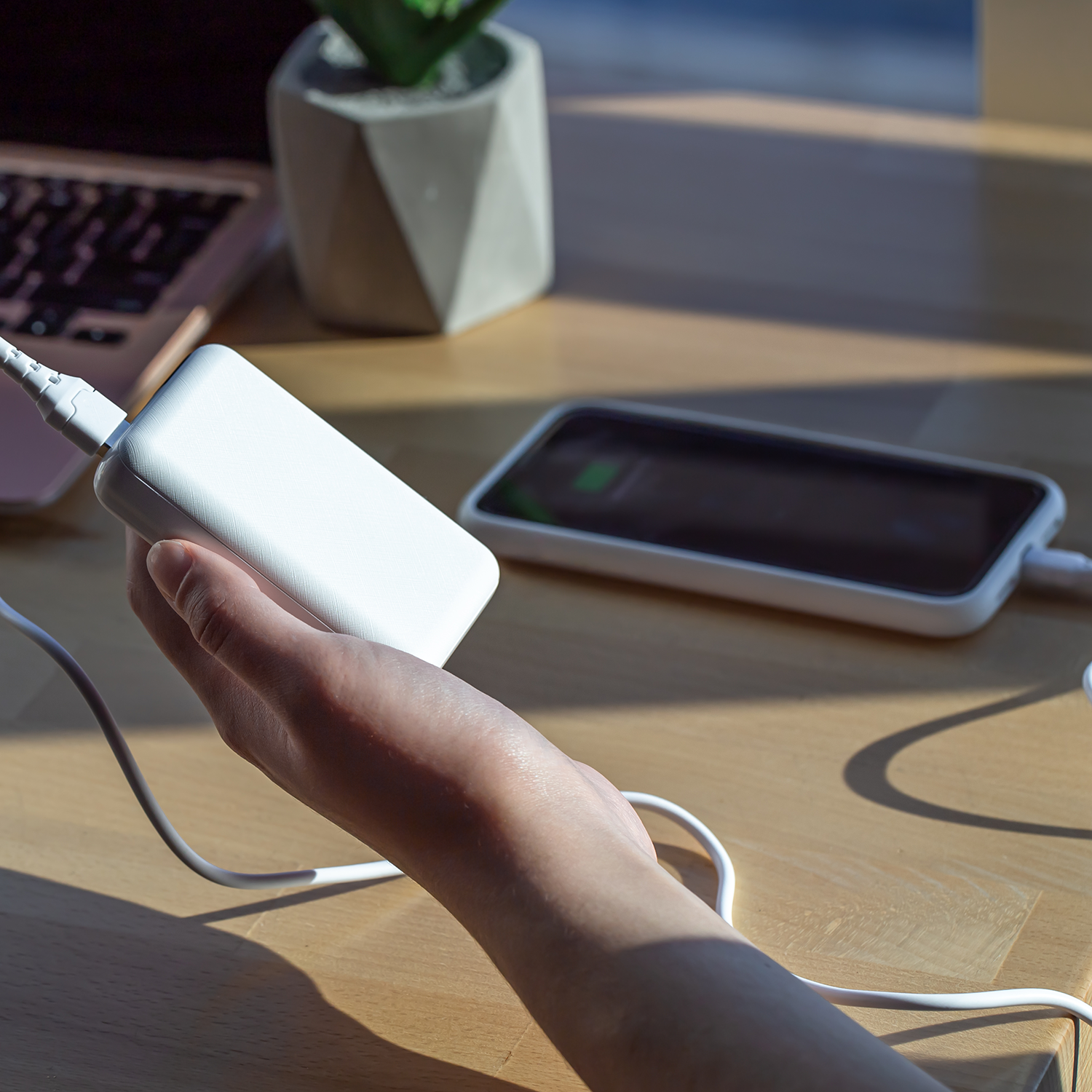 Power Banks